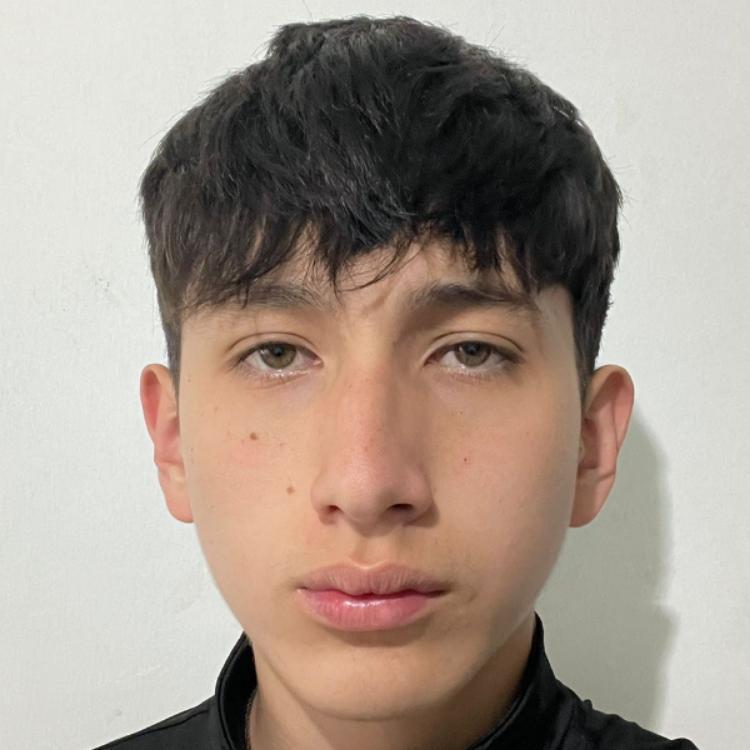 User Image