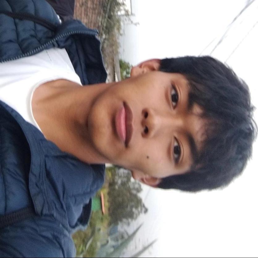 User Image