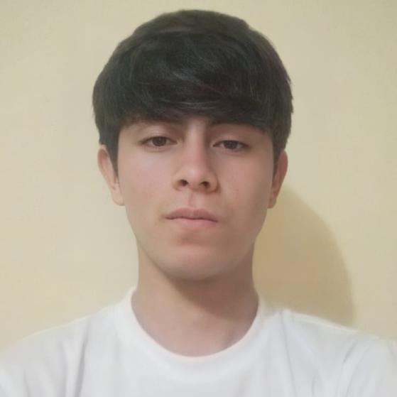 User Image